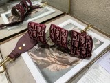 商品Alt模板：Dior shoulder strap 16 - xxxxxx